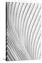 Calatrava Lines-Christopher Budny-Stretched Canvas