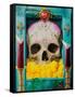 Calavera-Robert Valadez-Framed Stretched Canvas