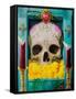 Calavera-Robert Valadez-Framed Stretched Canvas