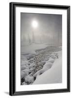 Calcified Trees At Tangled Creek In Winter, Yellowstone National Park, Wyoming, USA, February 2013-Peter Cairns-Framed Photographic Print