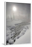 Calcified Trees At Tangled Creek In Winter, Yellowstone National Park, Wyoming, USA, February 2013-Peter Cairns-Framed Photographic Print