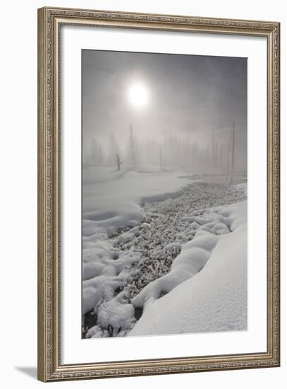 Calcified Trees At Tangled Creek In Winter, Yellowstone National Park, Wyoming, USA, February 2013-Peter Cairns-Framed Photographic Print