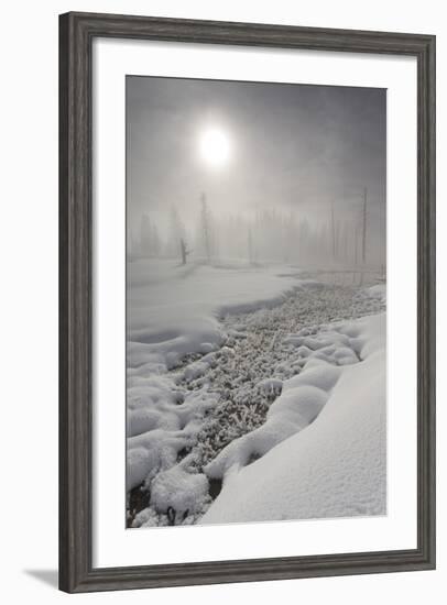 Calcified Trees At Tangled Creek In Winter, Yellowstone National Park, Wyoming, USA, February 2013-Peter Cairns-Framed Photographic Print