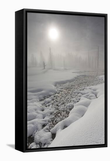 Calcified Trees At Tangled Creek In Winter, Yellowstone National Park, Wyoming, USA, February 2013-Peter Cairns-Framed Stretched Canvas