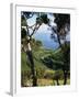 Caldeira De Cima, Sao Jorge, Azores, Portugal, Atlantic, Europe-Ken Gillham-Framed Photographic Print