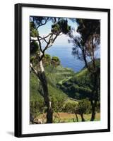 Caldeira De Cima, Sao Jorge, Azores, Portugal, Atlantic, Europe-Ken Gillham-Framed Photographic Print