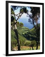 Caldeira De Cima, Sao Jorge, Azores, Portugal, Atlantic, Europe-Ken Gillham-Framed Photographic Print