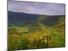 Caldeira, Faial Island, Azores, Portugal, Atlantic, Europe-Karol Kozlowski-Mounted Photographic Print