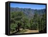 Caldera De Taburiente, La Palma, Canary Islands, Spain-Hans Peter Merten-Framed Stretched Canvas