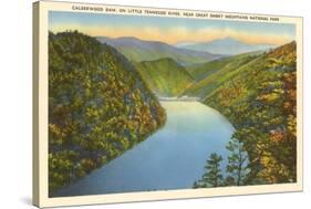 Calderwood Dam, Great Smoky Mountains-null-Stretched Canvas