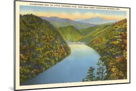 Calderwood Dam, Great Smoky Mountains-null-Mounted Art Print