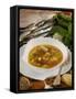 Caldo De Pescado Soup, Food of the Canary Islands, Spain, Europe-Tondini Nico-Framed Stretched Canvas