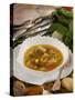 Caldo De Pescado Soup, Food of the Canary Islands, Spain, Europe-Tondini Nico-Stretched Canvas