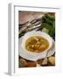 Caldo De Pescado Soup, Food of the Canary Islands, Spain, Europe-Tondini Nico-Framed Photographic Print