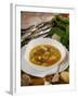 Caldo De Pescado Soup, Food of the Canary Islands, Spain, Europe-Tondini Nico-Framed Photographic Print