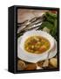 Caldo De Pescado Soup, Food of the Canary Islands, Spain, Europe-Tondini Nico-Framed Stretched Canvas