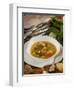 Caldo De Pescado Soup, Food of the Canary Islands, Spain, Europe-Tondini Nico-Framed Photographic Print