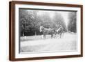 Brown Frame