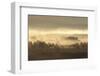 Caledonian Pine Forest in Mist at Sunrise, Rothiemurchus Forest, Cairngorms Np, Scotland, UK-Mark Hamblin-Framed Photographic Print