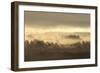 Caledonian Pine Forest in Mist at Sunrise, Rothiemurchus Forest, Cairngorms Np, Scotland, UK-Mark Hamblin-Framed Photographic Print