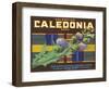 Calendonia Orange Crate Label-null-Framed Art Print