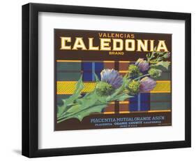 Calendonia Orange Crate Label-null-Framed Art Print