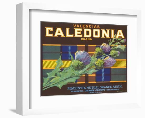 Calendonia Orange Crate Label-null-Framed Art Print