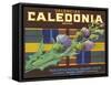 Calendonia Orange Crate Label-null-Framed Stretched Canvas