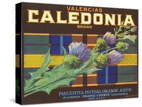 Calendonia Orange Crate Label-null-Stretched Canvas