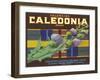 Calendonia Orange Crate Label-null-Framed Art Print