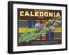 Calendonia Orange Crate Label-null-Framed Art Print