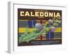 Calendonia Orange Crate Label-null-Framed Art Print