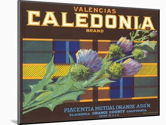 Calendonia Orange Crate Label-null-Mounted Art Print