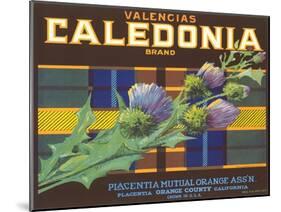 Calendonia Orange Crate Label-null-Mounted Art Print