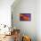 Calendula`s drop-Heidi Westum-Framed Stretched Canvas displayed on a wall