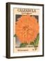 Calendula Seed Packet-null-Framed Art Print