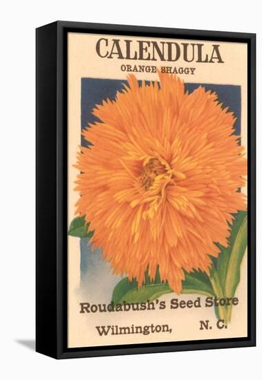 Calendula Seed Packet-null-Framed Stretched Canvas