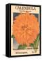 Calendula Seed Packet-null-Framed Stretched Canvas
