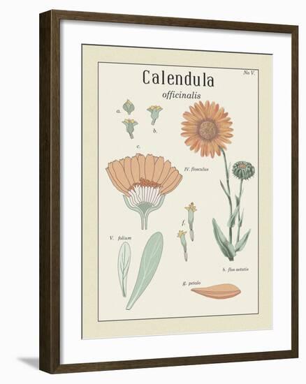 Calendula-Maria Mendez-Framed Giclee Print