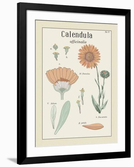 Calendula-Maria Mendez-Framed Giclee Print