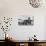 Calesthenics-Ansel Adams-Art Print displayed on a wall