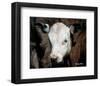 Calf #4-Barry Hart-Framed Giclee Print