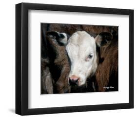 Calf #4-Barry Hart-Framed Giclee Print