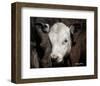 Calf #4-Barry Hart-Framed Art Print