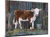 Calf and Bucket-Alex Williams-Mounted Giclee Print