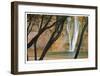 Calf Creek Falls-Donald Paulson-Framed Giclee Print