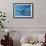 Calf Dolphin-Augusto Leandro Stanzani-Framed Photographic Print displayed on a wall
