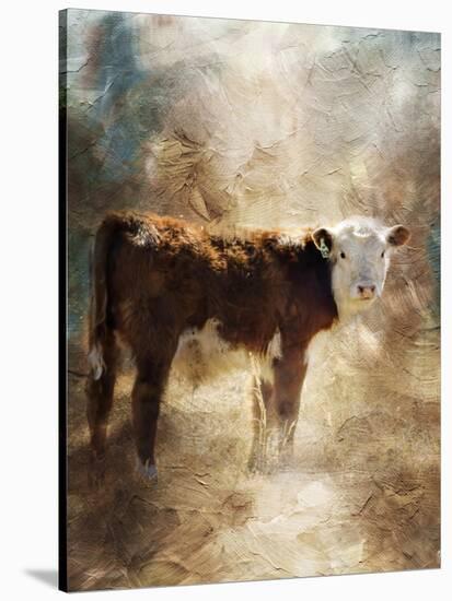 Calf in the Sunday Sun-Jai Johnson-Stretched Canvas