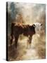 Calf in the Sunday Sun-Jai Johnson-Stretched Canvas