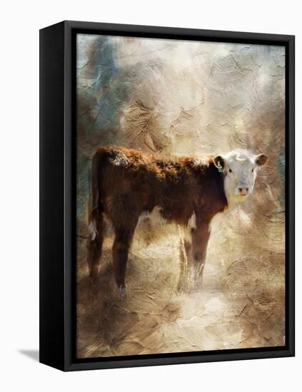 Calf in the Sunday Sun-Jai Johnson-Framed Stretched Canvas